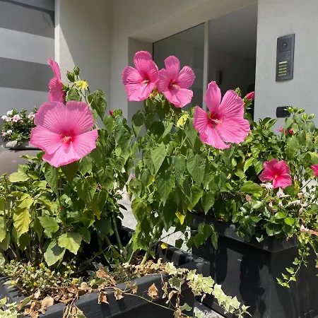 My Humble House - Elegante Con Patio