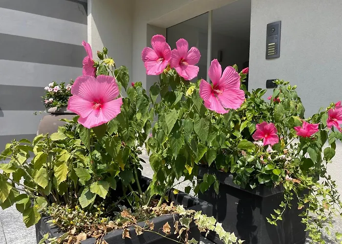 My Humble House - Elegante Con Patio